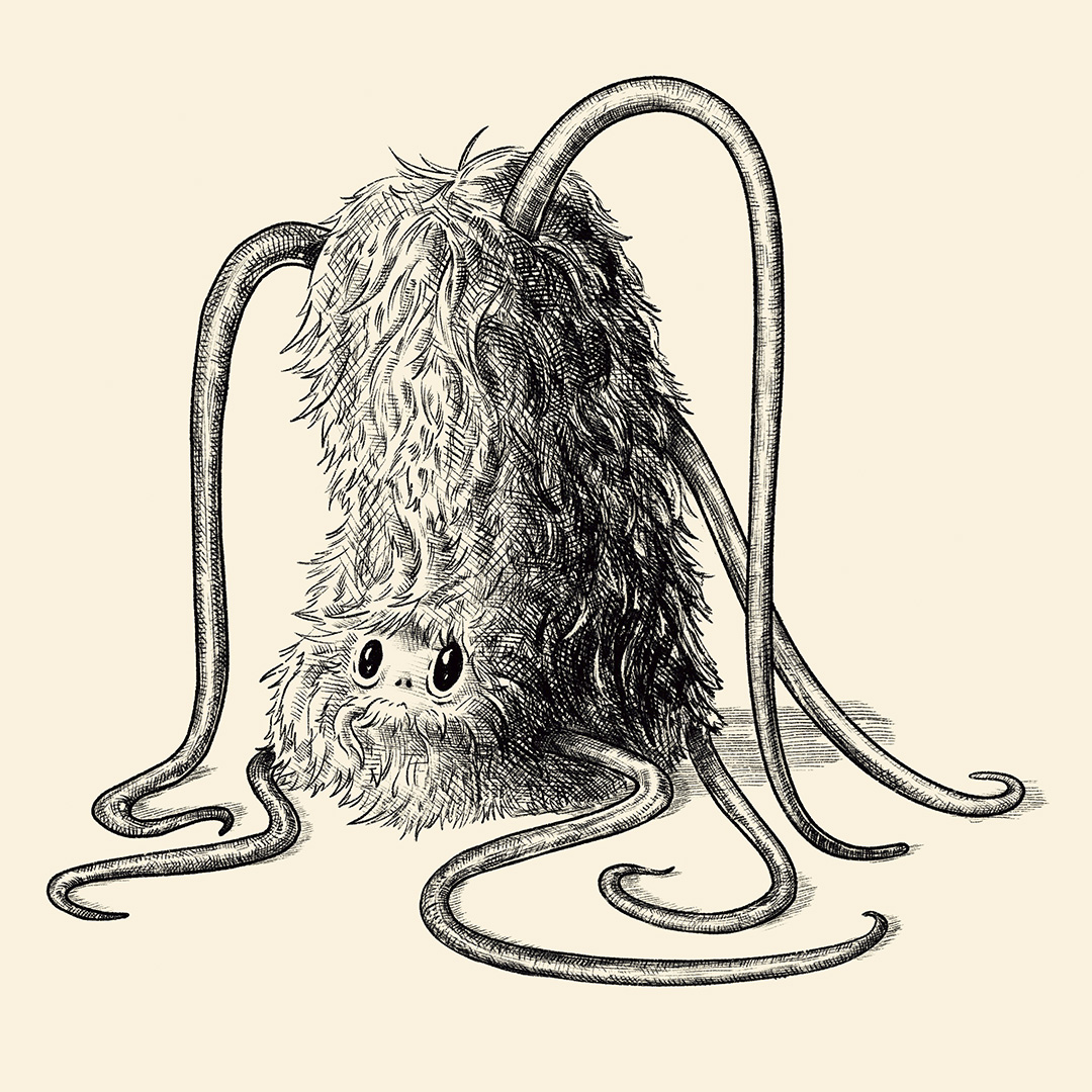 Illustration