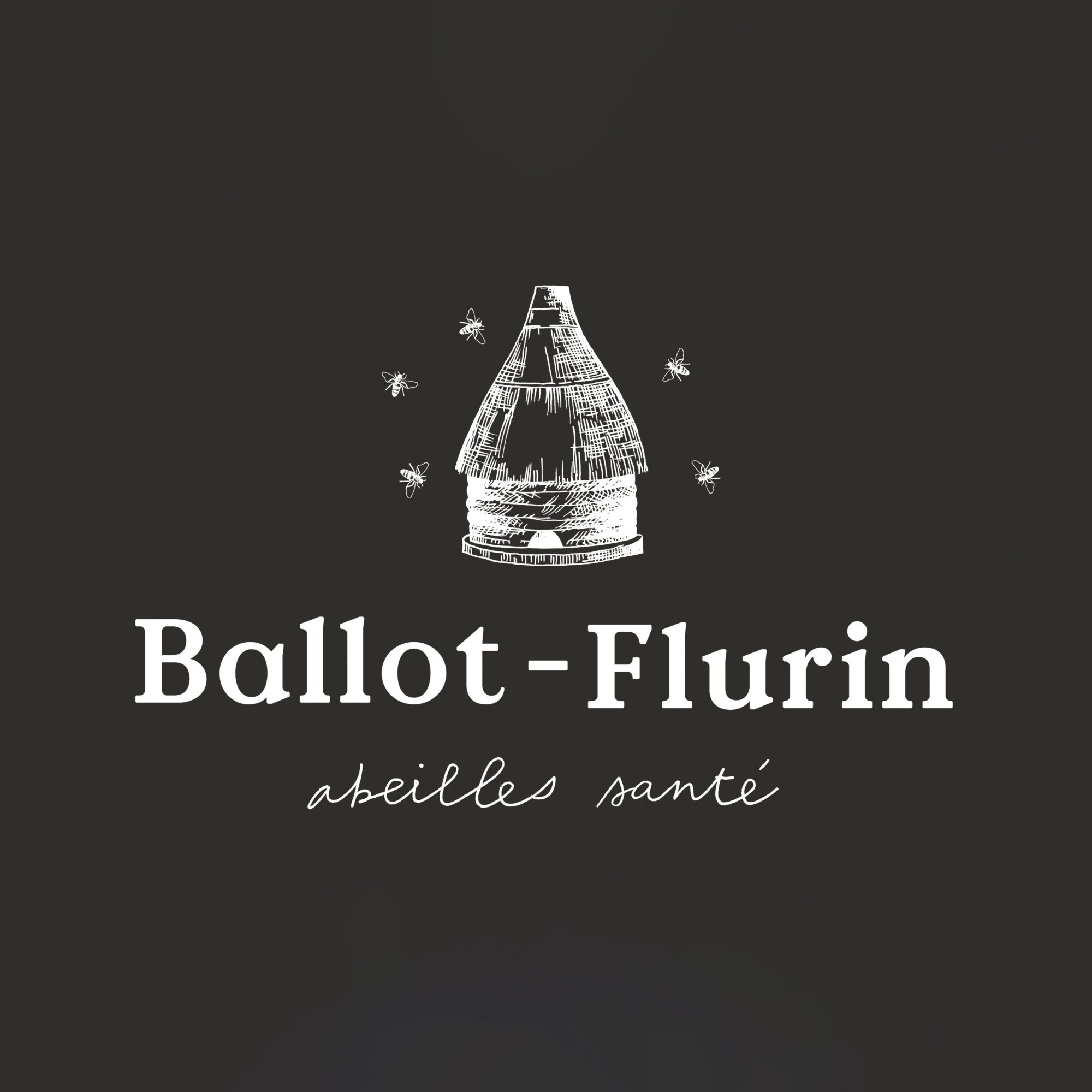 Logo von Ballot-Flurin