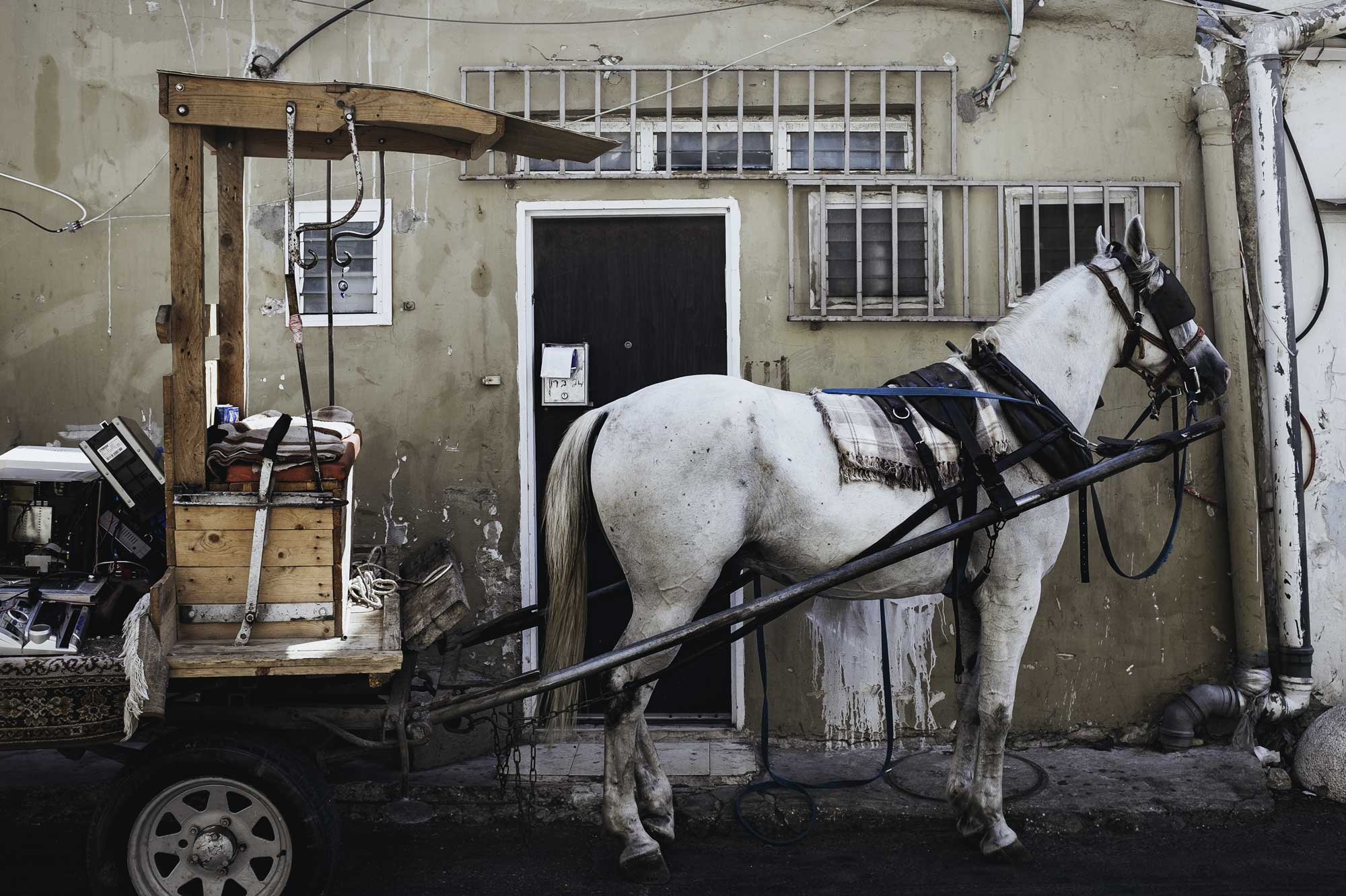 Identity Lab Fotografie