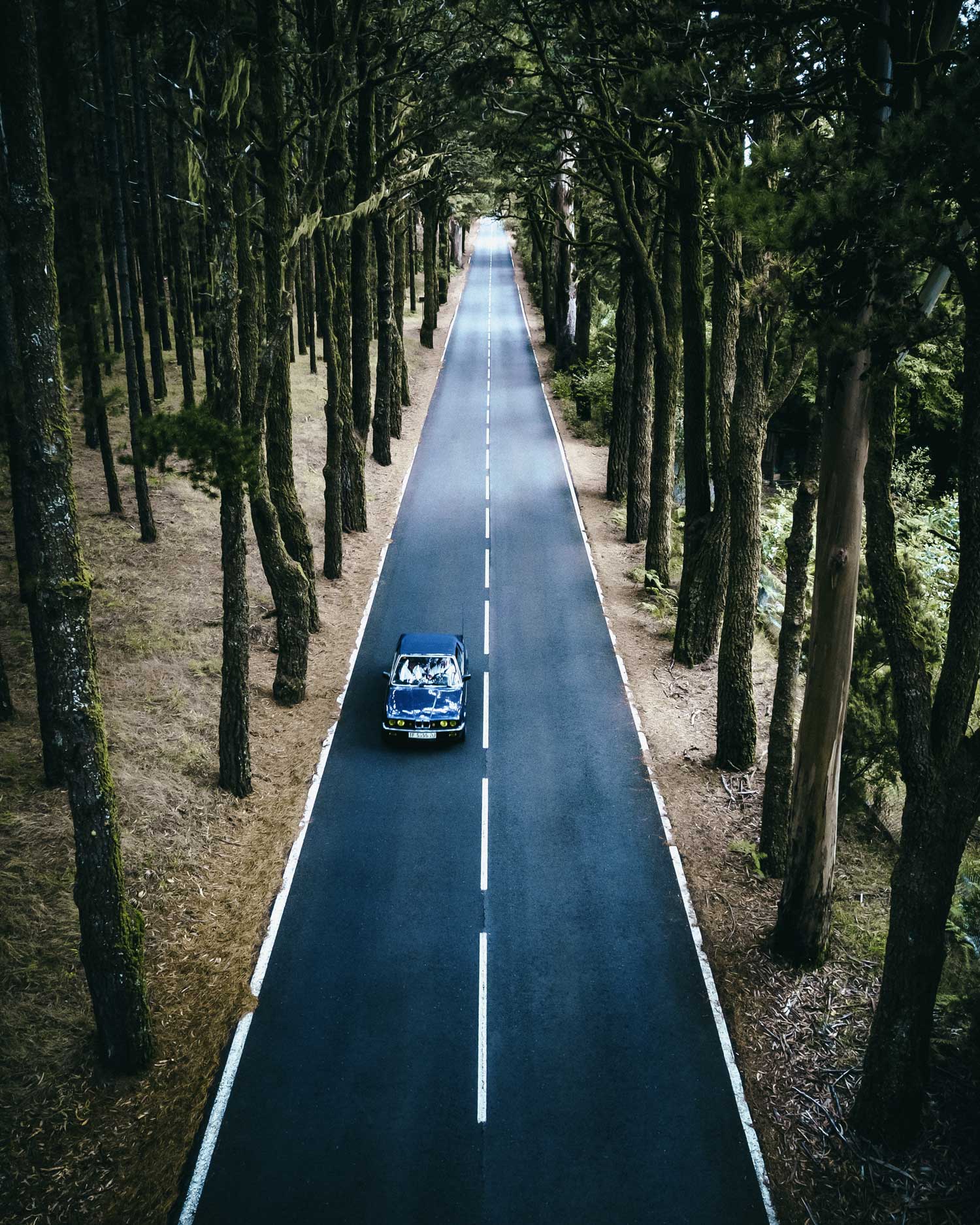 Identity Lab Fotografie