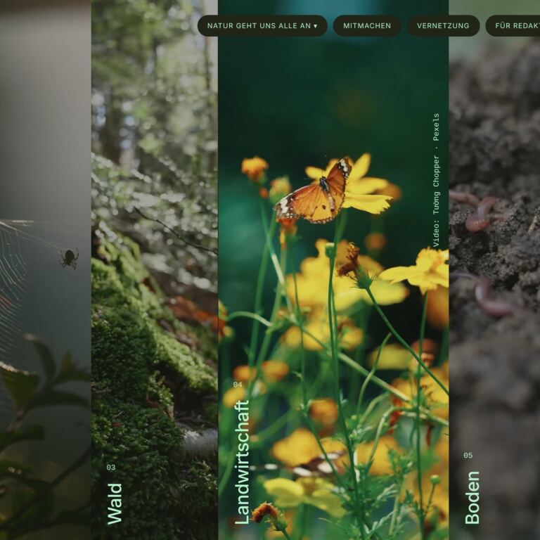 Kapitelstreifen Wald, Landwirtschaft und Boden von biodiversitaet-monitor.at